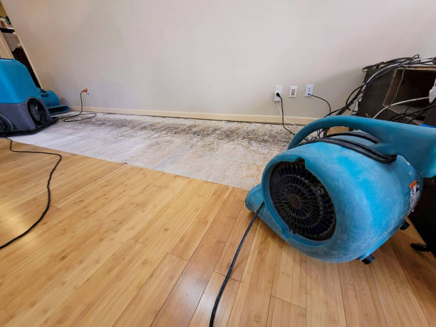 Professional Water Removal technician working in Brownsville, TX